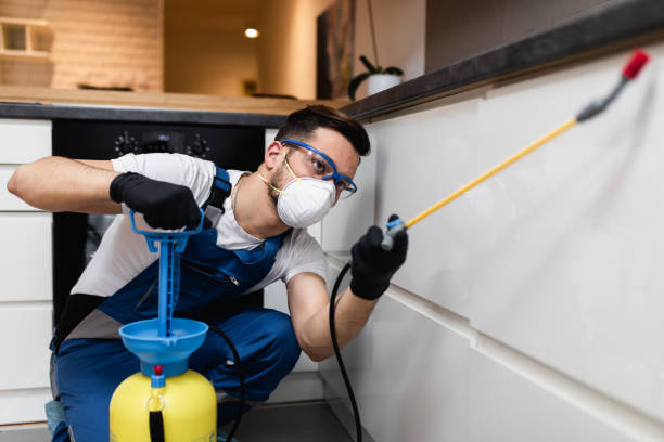 Best Cockroach Control Services  in Burtonsville, MD