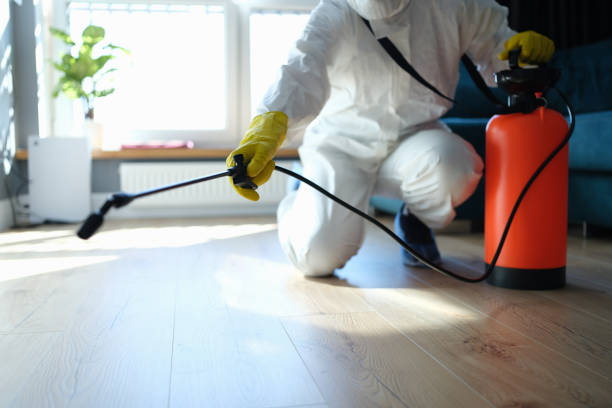 Flea Control Services in Burtonsville, MD