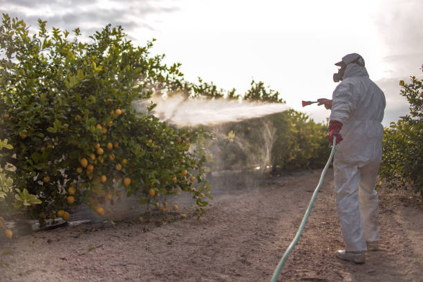 Best Pest Control for Businesses  in Burtonsville, MD
