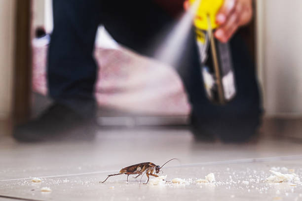 Best Termite Control Services  in Burtonsville, MD