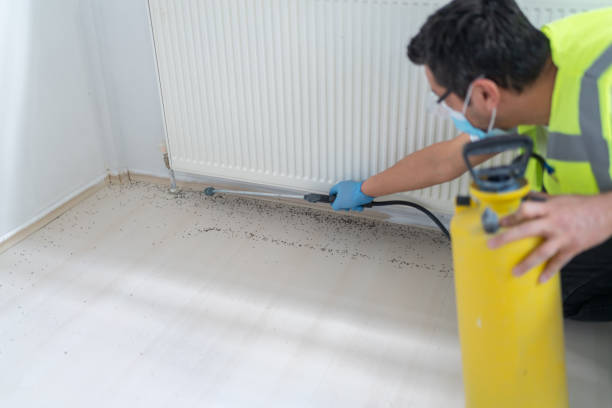 Best Wasp Removal Services  in Burtonsville, MD